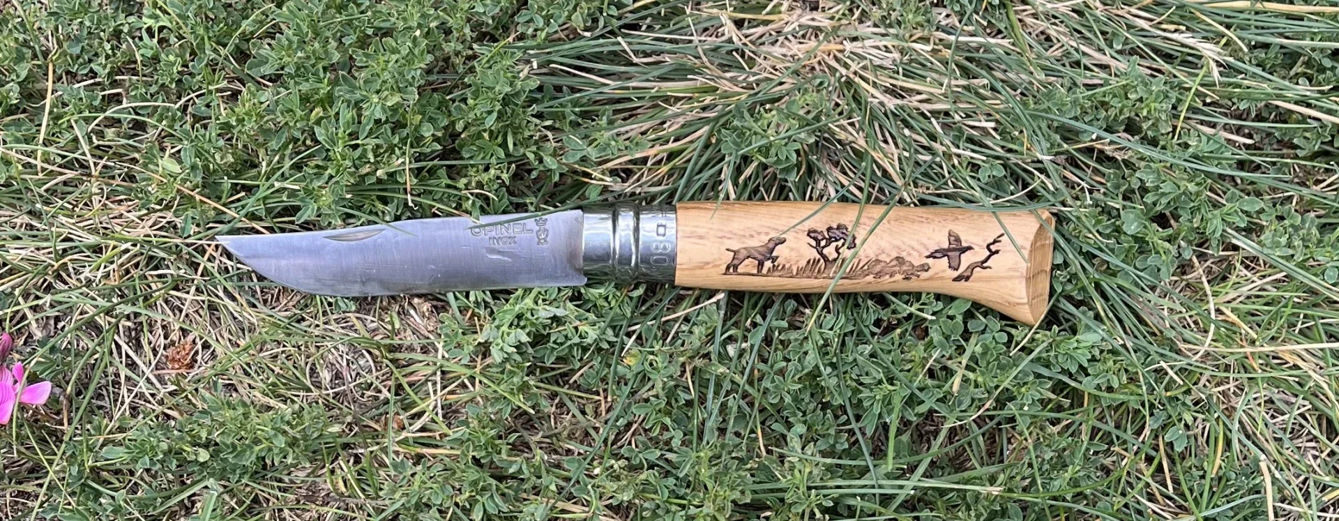 Navaja de Bolsillo Opinel N°08 con Grabado Animalia Perro - Imagen 3