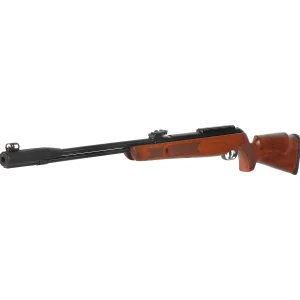 Carabina de Aire Comprimido Gamo CFX Royal