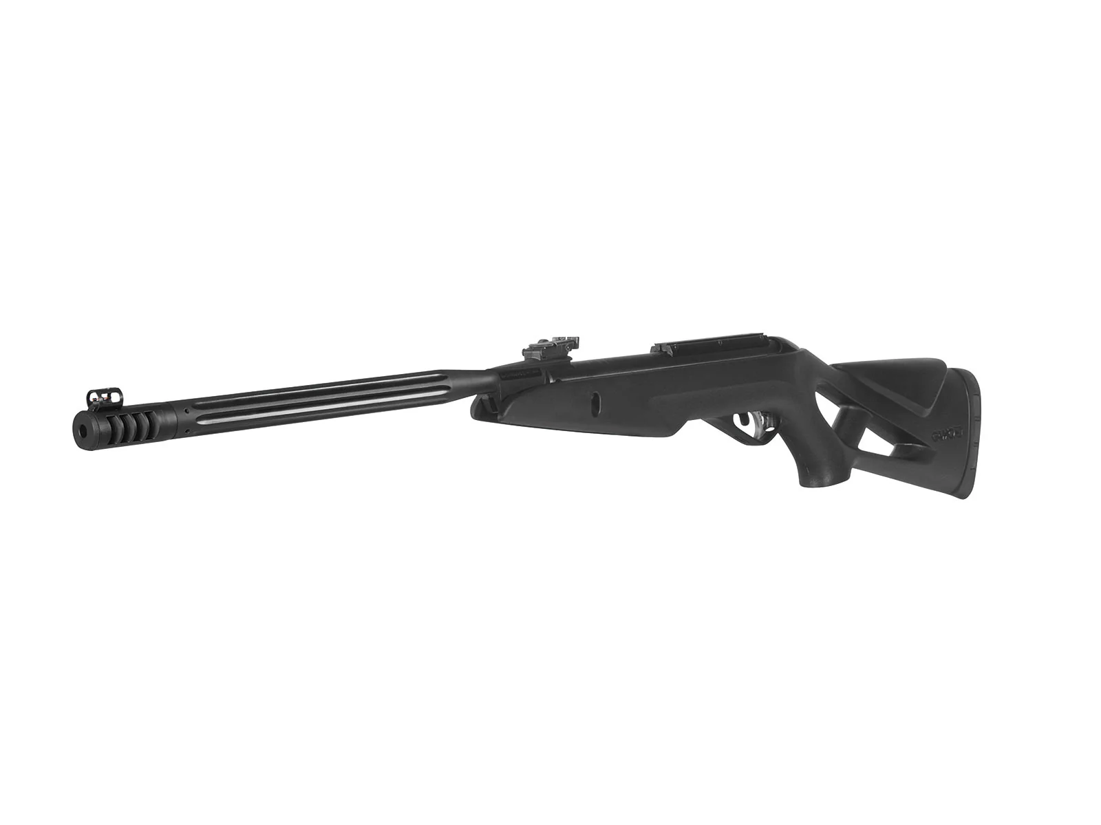 Carabina de Aire Comprimido Gamo WHISPER MAXXIM - Imagen 2