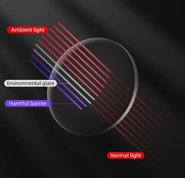 Lentes RockBros Foto-cromáticos Mod. SP216BK / BL - Imagen 8