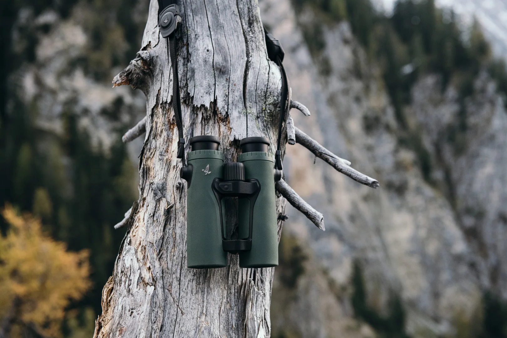 Prismáticos Swarovski EL Range - Imagen 8