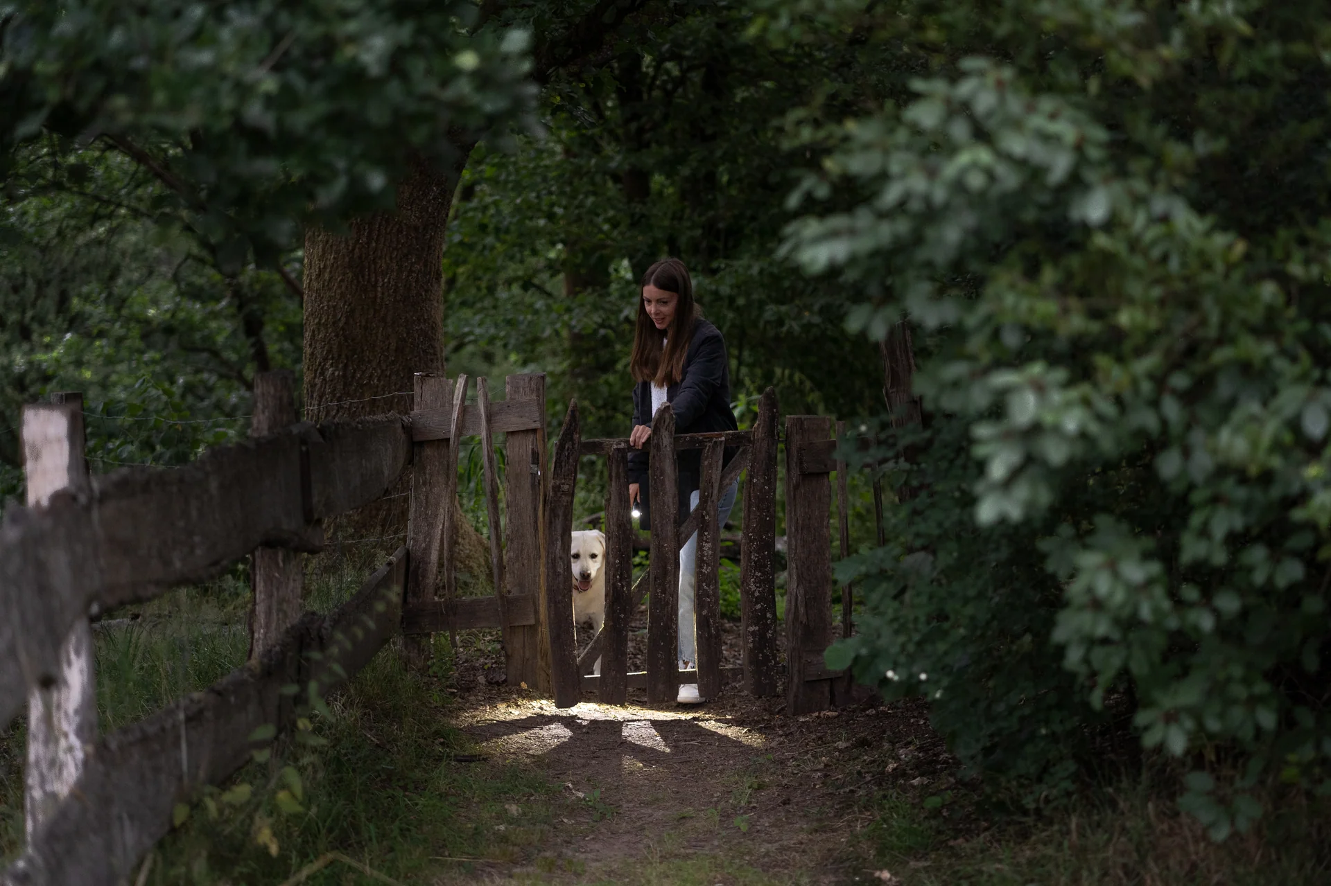 Linterna Ledlenser P5R - Imagen 8