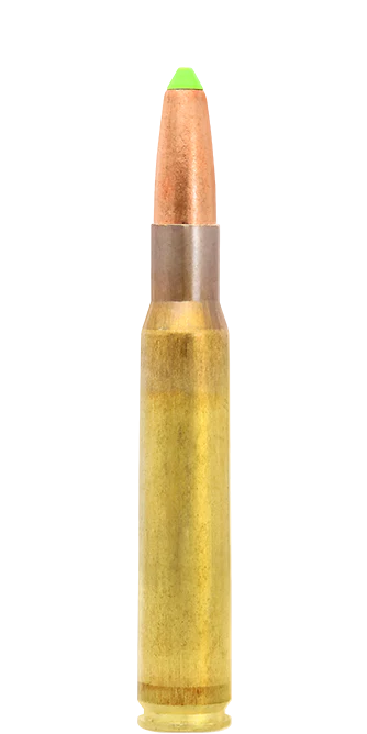 Balas para Rifle Naturalis - Imagen 5