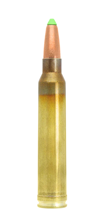 Balas para Rifle Naturalis - Imagen 7