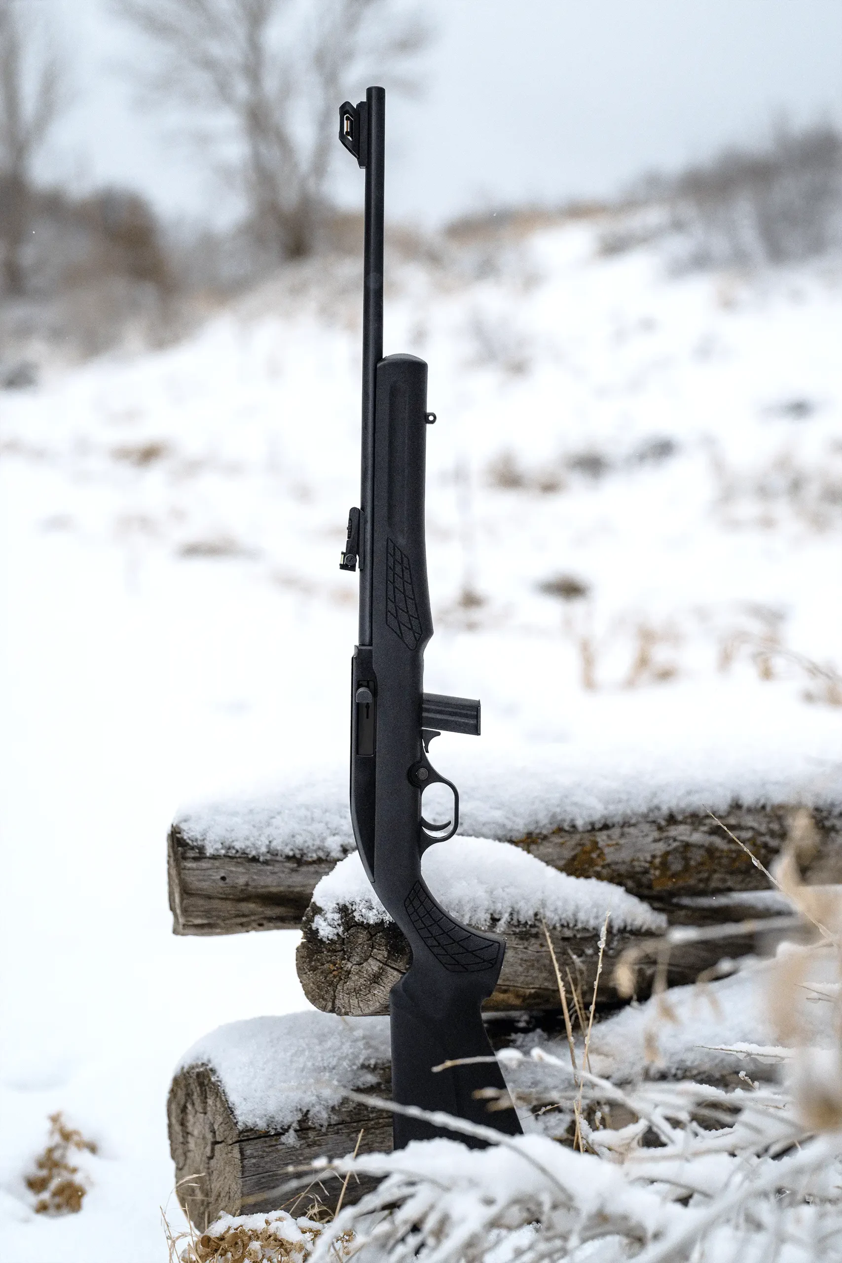 Carabina Semiautomática Rossi 7022 - Imagen 7