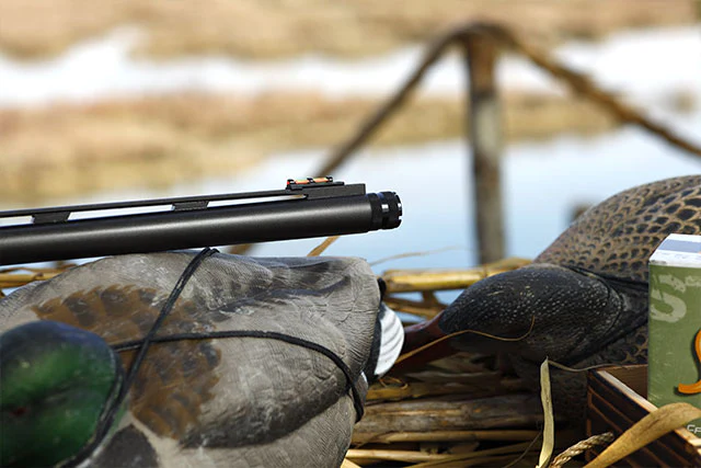 Escopeta Semiautomática Franchi Affinity 3 Elite - Imagen 7