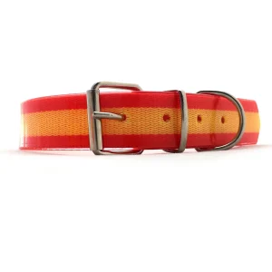 Collar para Perros Cinta Artesanía Ramírez Ruiz PVC TPU