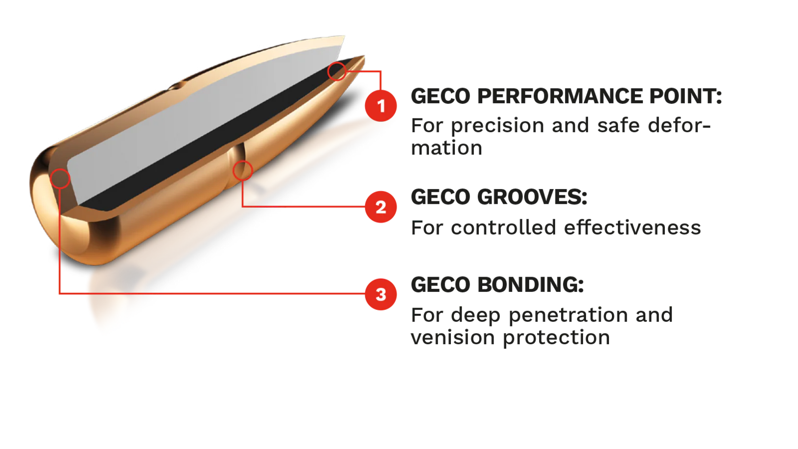 Balas de Caza Plus - Imagen 5