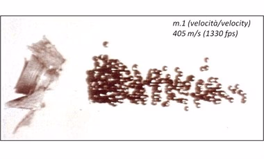 Cartuchos de Caza Baschieri & Pellagri F2 Classic - Imagen 5