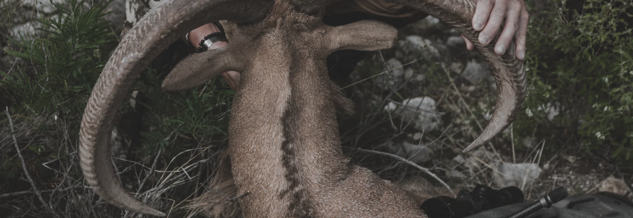 Rifle de Caza Bergara B-14 Wilderness HMR Carbon - Imagen 7