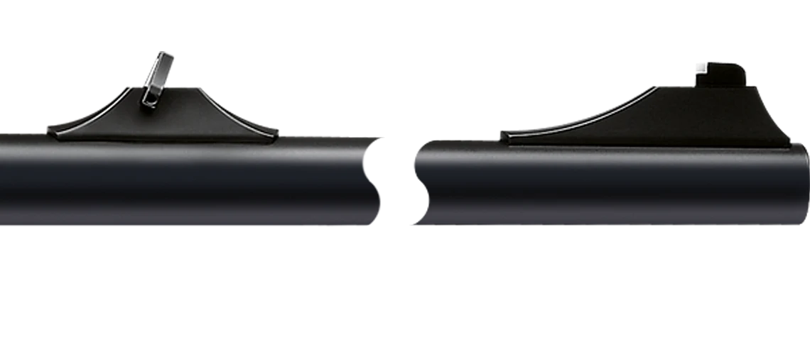 Rifle Blaser R8 - Imagen 6