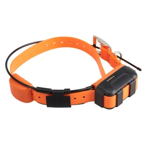 Collar Adicional Remoto Num'axes de Adiestramiento y Localización Canicom GPS 2