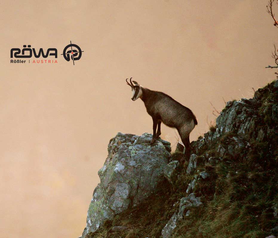 Rifle de Cerrojo Rectilíneo Titan 16® All-Round - Imagen 5