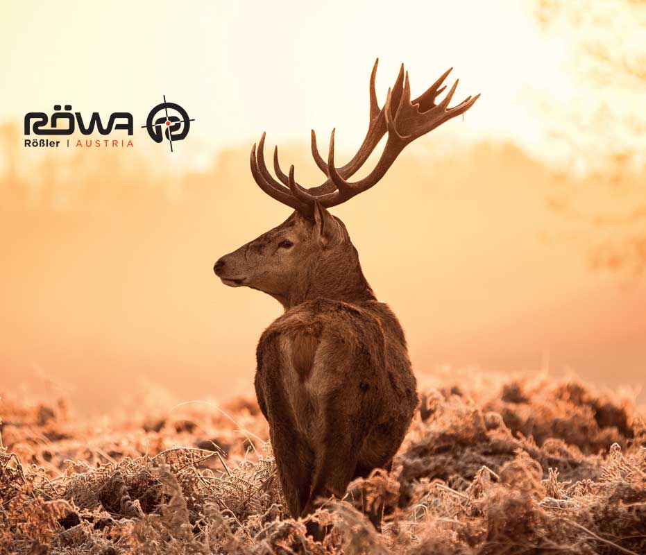 Rifle de Cerrojo Rectilíneo Titan 16® All-Round - Imagen 6