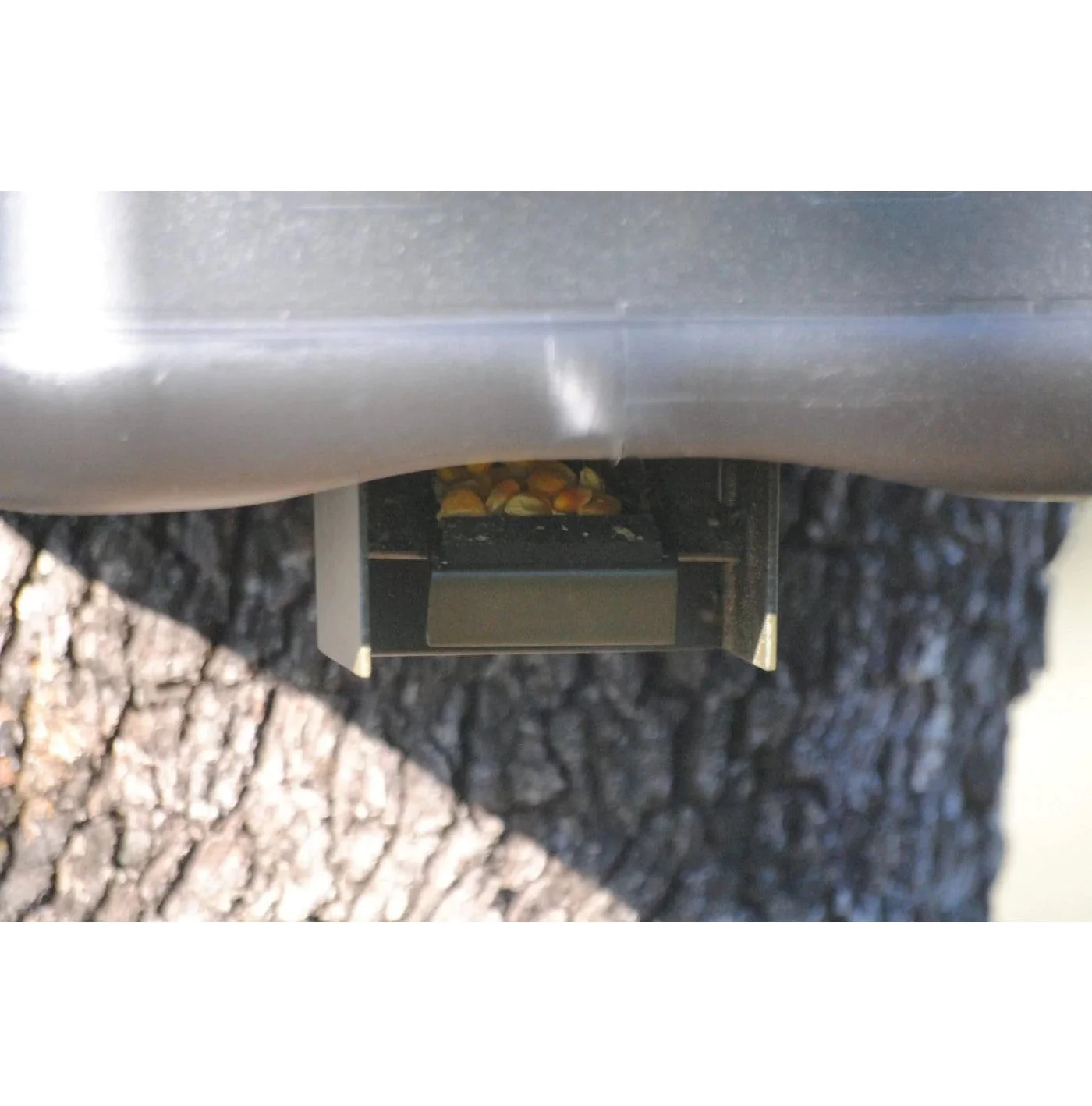 Dispensador Automático Trampilla BSF Yimi para Comedero - Imagen 5